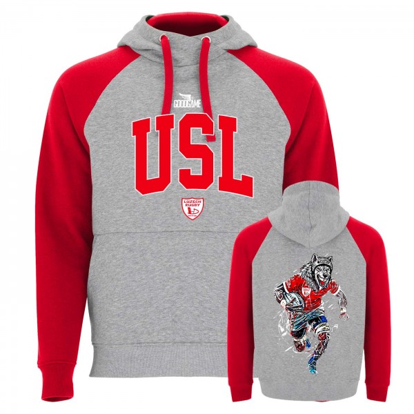 sweat à capuche manches Bi color